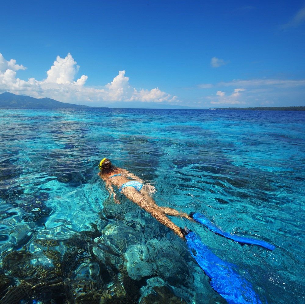 Self-guided snorkelling, 1 site