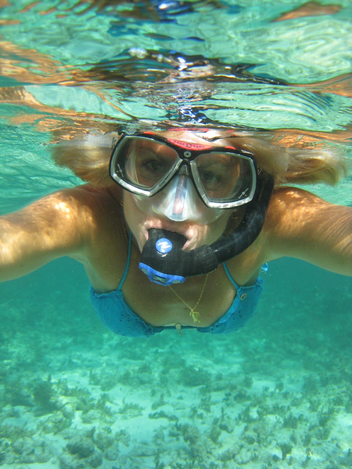 Guided snorkelling, 1 site
